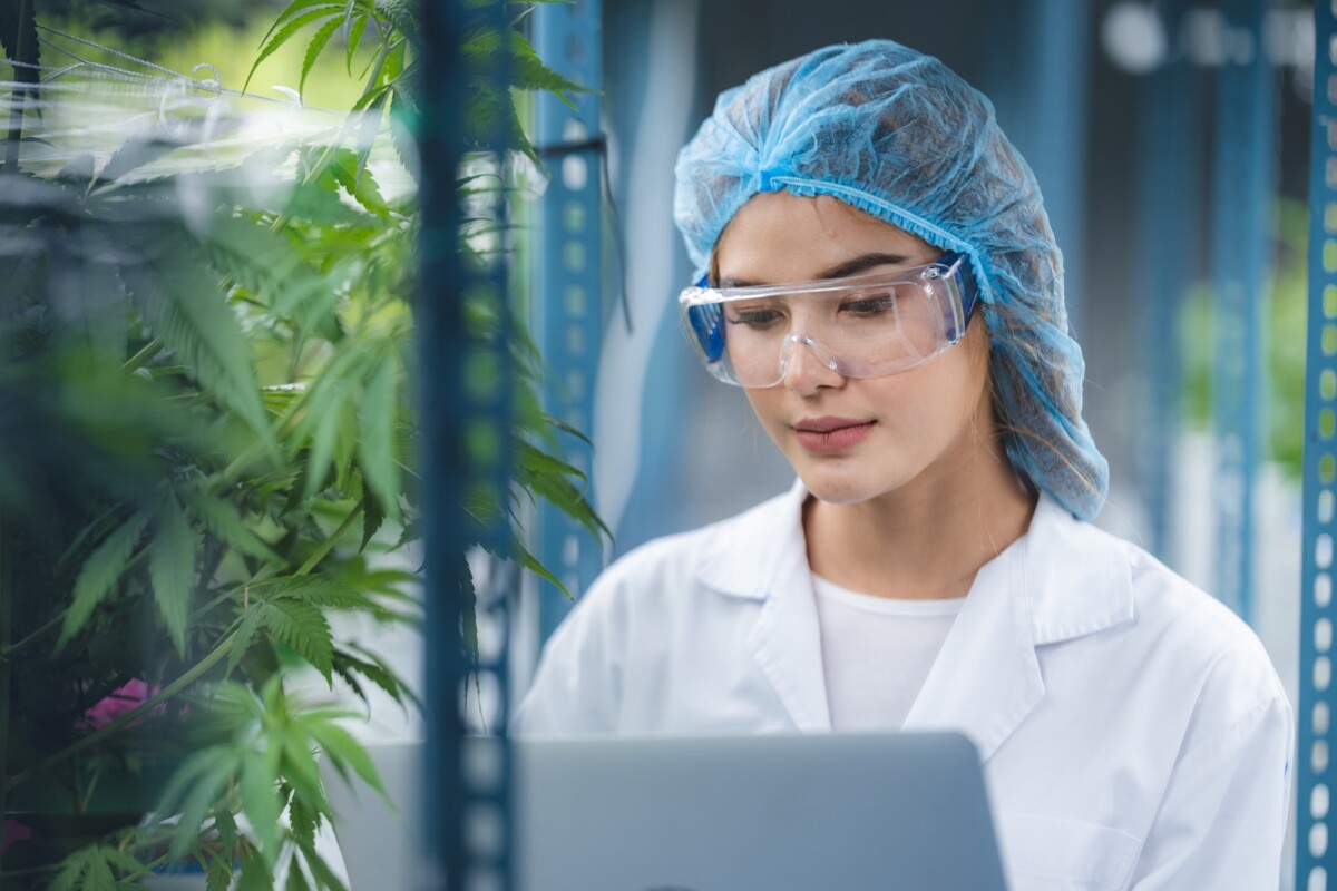 Data Scientist Programs